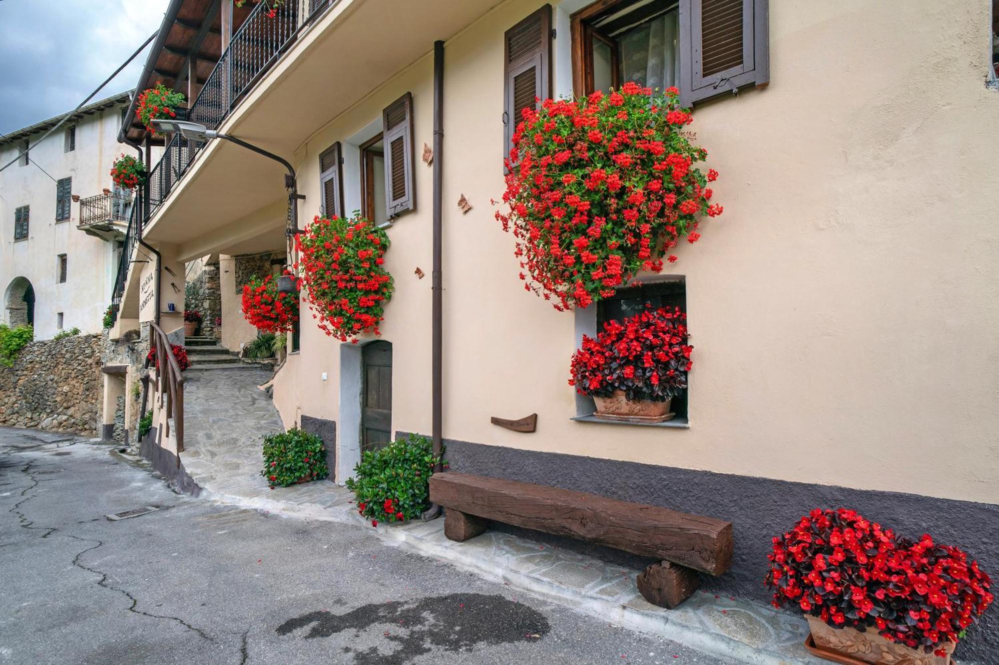 Agriturismo U' Spigu Nonna Annetta Nasino Exteriör bild